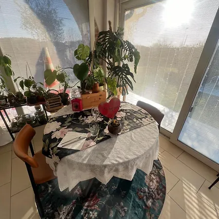 Casa Belvedere 4*